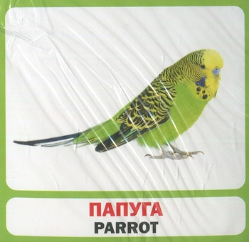 Бумажная книга «Домашні тварини / Pets. 17 карток» - фото №2 - миниатюра