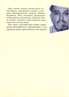 Паперова книга «Намальовані двері. Проникнення», автор Микола Воробйов - фото №2 - мініатюра