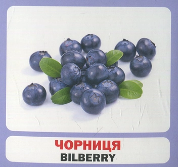 Паперова книга «Ягоди / Berries. 17 карток» - фото №2 - мініатюра