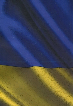 Бумажная книга «В рядах УПА. Відродження великої ідеї. Трагічна перемога. Євген Коновалець», автор Петр Мирчук - фото №2 - миниатюра