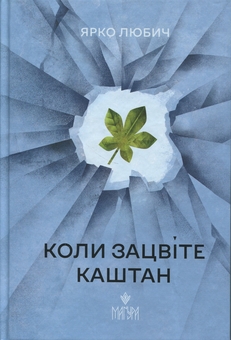 Паперова книга «Коли зацвіте каштан», автор Ярко Любич - фото №1 - мініатюра