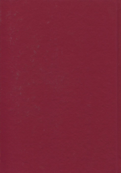 Бумажная книга «Михайло Грушевський. Твори у 50 томах. Том 10. Книга ІІ. Історичні студії та розвідки (1930-1934). Рецензії та огляди (1924-1930)», автор Михаил Грушевский - фото №2 - миниатюра