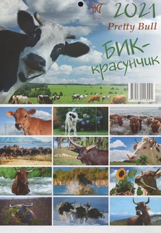 Паперова книга «Календар на 2021. Світовид Міні. Рік бика. Бик-красунчик» - фото №2 - мініатюра