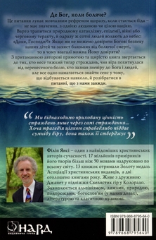 Бумажная книга «Чому? Питання, що з нами завжди», автор Филип Янси - фото №2 - миниатюра