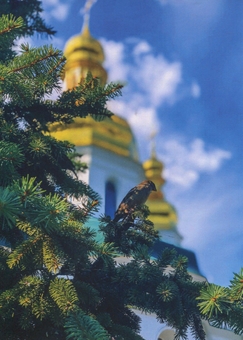 «Листівка "Києво-Печерська лавра з птахом" (C-DQC)», бренда CakeTravel - фото №1 - миниатюра