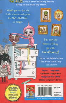 Паперова книга «The Bolds to the Rescue», автор Джуліан Клері - фото №2 - мініатюра