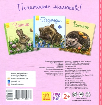 Бумажная книга «Кошеня», автор Светлана Зайцева - фото №2 - миниатюра