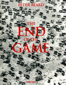 Паперова книга «The End of the Game», автор Пітер Берд - фото №1 - мініатюра