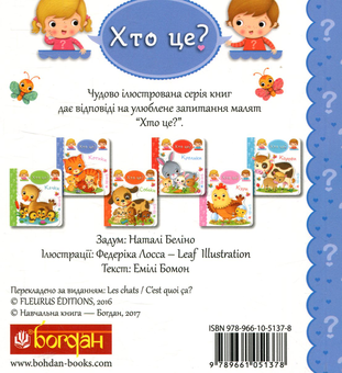 Бумажная книга «Котики», автор Эмили Бомон - фото №2 - миниатюра