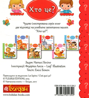 Паперова книга «Кролики», автор Емілі Бомон - фото №2 - мініатюра
