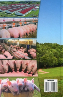 Паперова книга «Технологія виробництва продукції свинарства», автор Веніамін Герасимов - фото №2 - мініатюра