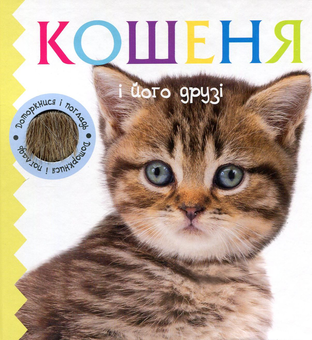 Паперова книга «Кошеня і його друзі» - фото №1 - мініатюра
