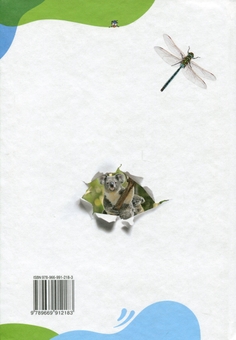 Бумажная книга «Пізнаємо природу. 6 клас», авторов Татьяна Коршевнюк, Ольга Ярошенко - фото №2 - миниатюра