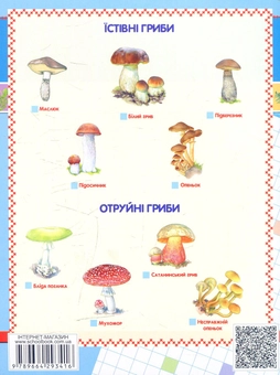 Бумажная книга «Природознавство. 2 кл.: Робочий зошит», авторов Василий Федиенко, Юлия Доценко, Светлана Бобровская - фото №2 - миниатюра