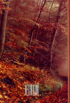 Паперова книга «Де свище Овлур», автор Петро Сорока - фото №2 - мініатюра