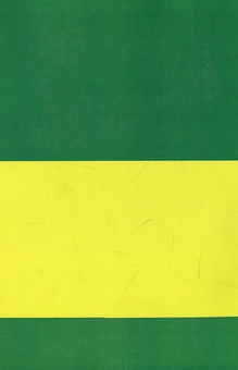 Бумажная книга «Modern Ukrainian Financial Science. Theoretical paradigm & practical concept of public finance», авторов Валерий Опарин, Виктор Федосов, Петр Юхименко, Андрей Крысоватый - фото №2 - миниатюра
