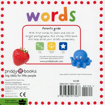 Бумажная книга «Words. Mini tab books» - фото №2 - миниатюра
