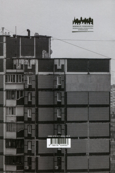 Паперова книга «Псалом авіації», автор Сергій Жадан - фото №2 - мініатюра
