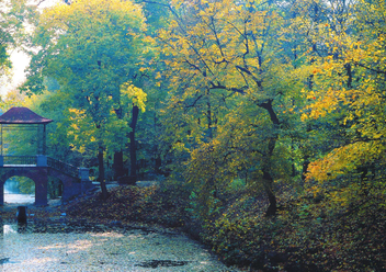 Бумажная книга «Парки України / Parks of Ukraine», автор Евгений Дерлеменко - фото №4 - миниатюра