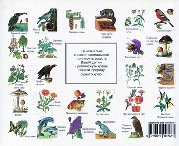 Паперова книга «Співочі птахи. Навчальна книжка-розмальовка», автор Ервін Айгнер - фото №2 - мініатюра