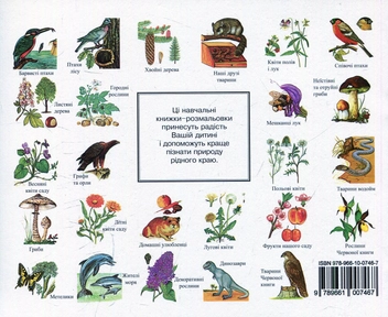 Бумажная книга «Польові квіти. Навчальна книжка-розмальовка», автор Эрвин Айгнер - фото №2 - миниатюра
