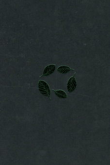 Бумажная книга «Букова земля», автор Мария Матиос - фото №3 - миниатюра