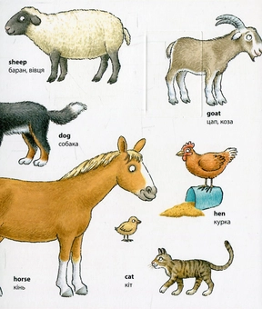 Бумажная книга «My first English words. Animals / Тварини » - фото №4 - миниатюра