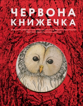Паперова книга «Червона книжечка» - фото №1 - мініатюра