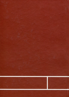 Бумажная книга «Gemeinschaft vs Gesellschaft», автор Игорь Пасько - фото №2 - миниатюра