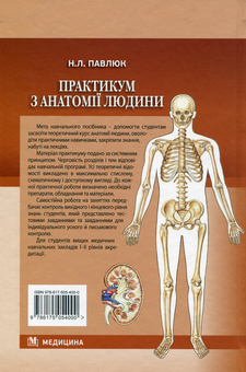 Паперова книга «Практикум з анатомії людини. Навчальний посібник для мед. ВНЗ І—II р.а.», автор Наталья Павлюк - фото №2 - мініатюра