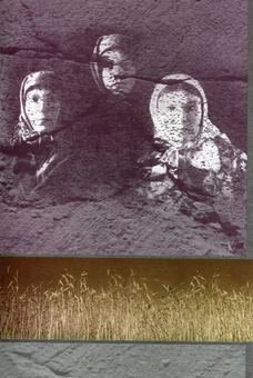 Бумажная книга «Український голокост 1932-1933. Свідчення тих, хто вижив. Том 2» - фото №2 - миниатюра