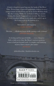 Паперова книга «The Villa of Mysteries», автор Девід Хьюсон - фото №2 - мініатюра