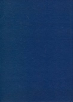 Паперова книга «Етіологія злочину», автор Сергій Нежурбіда - фото №2 - мініатюра