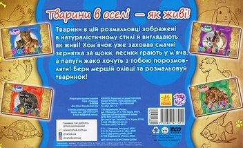 Бумажная книга «Тварини. В оселі» - фото №2 - миниатюра