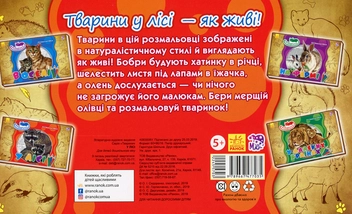 Бумажная книга «Тварини. У лісі» - фото №2 - миниатюра