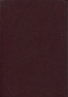 Паперова книга «Кам'янецька хроніка», автор Сергій Бабій - фото №3 - мініатюра