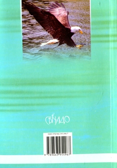 Паперова книга «Орел і гримуча змія», автор Браян Кавано - фото №2 - мініатюра