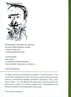 Паперова книга «Лугини», автор Тадей Карабович - фото №2 - мініатюра