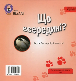 Паперова книга «Що всередині?», автор Моніка Хьюз - фото №2 - мініатюра