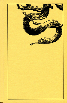 Паперова книга «The Ballad of Songbirds and Snakes (A Hunger Games Novel)», автор Сюзанна Коллінз - фото №4 - мініатюра