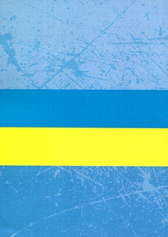 Бумажная книга «Закон України "Про адвокатуру та адвокатську діяльність". Станом на 15.11.2021 р.» - фото №2 - миниатюра