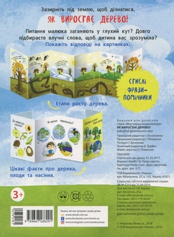 Паперова книга «Як виростає дерево? » - фото №2 - мініатюра