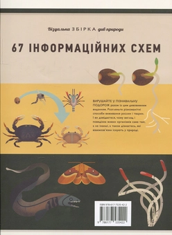 Бумажная книга «Світ природи. Візуальна збірка див природи», авторов Аманда Вуд, Майк Джолли - фото №6 - миниатюра