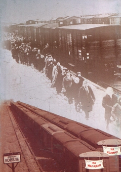 Паперова книга «Розстріл в'язнів Луцької тюрми 23 червня 1941 року», авторів  Володимир Засекін, Микола Коц - фото №2 - мініатюра