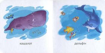 Бумажная книга «Мешканці морів» - фото №4 - миниатюра