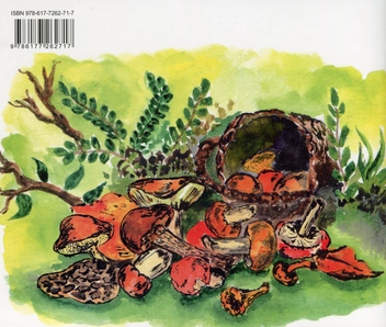 Бумажная книга «Абетка грибничка», автор Сергей Пантюк - фото №2 - миниатюра
