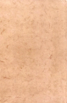Бумажная книга «Променисті сильвети. Лекції, доповіді, статті, есеї, розвідки», автор Игорь Качуровский - фото №2 - миниатюра