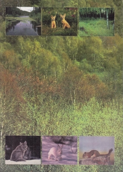 Бумажная книга «Географія рідного краю. 5 клас», авторов Н. Пушкарь, Т. Дудко, Т. Корчук, Н. Синя - фото №2 - миниатюра