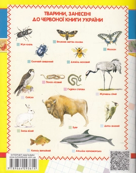 Бумажная книга «Природознавство. Робочий зошит. 3 клас», авторов Василий Федиенко, Юлия Доценко, Светлана Бобровская - фото №2 - миниатюра