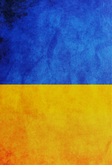 Бумажная книга «Обов'язковий технічний контроль колісних транспортних засобів», авторов Анатолий Редзюк, Владимир Агеев - фото №3 - миниатюра